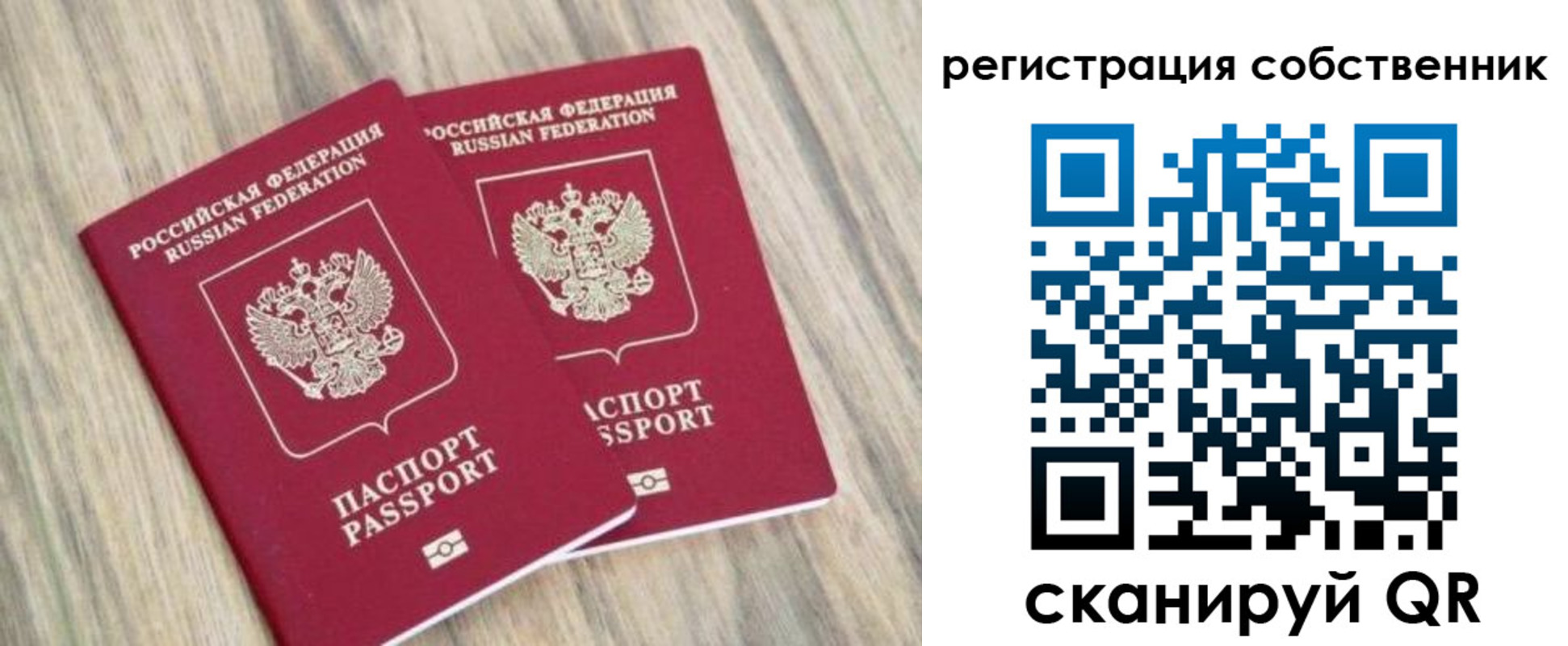 прописка ребенка в Шебекино